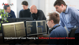 Importance of User Testing In Software Development Process
