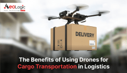 The Benefits of Using Drones for Cargo Transportation in Logistics