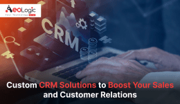 Custom CRM Solutions