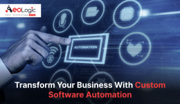 Custom Software Automation