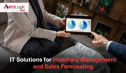 IT Solutions For Inventory Management