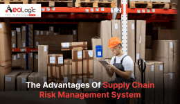 The Advantages Of Supply Chain Risk Management System