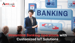 Customized IoT Solutions 