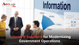 Tailored IT Solutions for Modernizing Government Operations