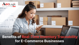 Real-Time Inventory Traceability