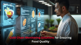 Cold Chain Monitoring Solutions