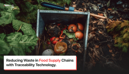 Food Supply Chains with Traceability Technology